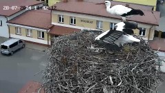 IMG_9169.jpeg