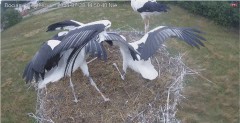 IMG_9280.jpeg