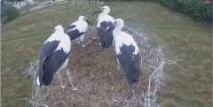 IMG_9282.jpeg