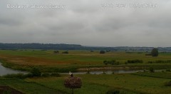 IMG_9037.jpeg