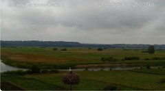 IMG_9123.jpeg