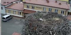 IMG_9321.jpeg