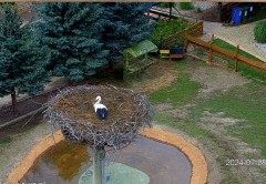 IMG_9206.jpeg