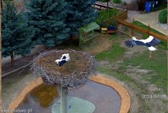IMG_9207.jpeg