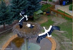 IMG_9208.jpeg
