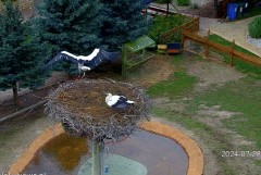 IMG_9209.jpeg