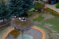 IMG_9210.jpeg