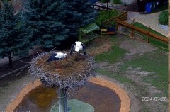 IMG_9271.jpeg