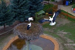 IMG_9272.jpeg
