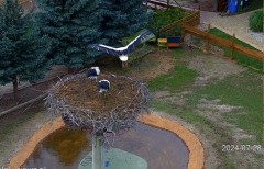 IMG_9273.jpeg
