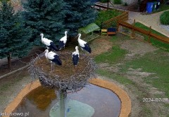 IMG_9234.jpeg