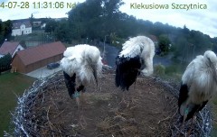 IMG_9137.jpeg