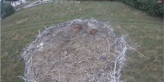 IMG_9366.jpeg