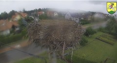 IMG_9193.jpeg