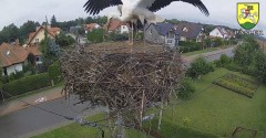 IMG_9374.jpeg