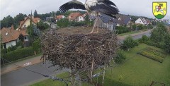 IMG_9378.jpeg