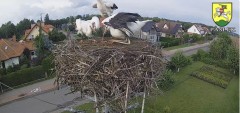 IMG_9397.jpeg