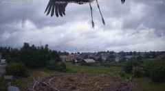 IMG_9540.jpeg
