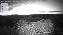 IMG_9556.jpeg