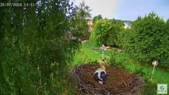 IMG_9431.jpeg