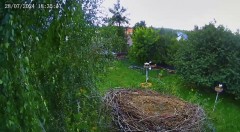 IMG_9434.jpeg