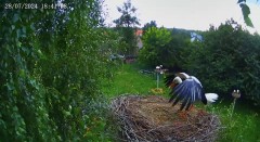 IMG_9435.jpeg