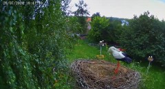 IMG_9436.jpeg