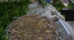 IMG_9444.jpeg