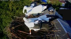 IMG_9451.jpeg