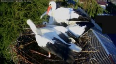 IMG_9453.jpeg