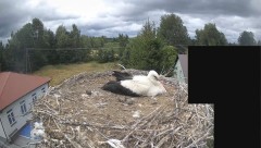 IMG_9383.jpeg