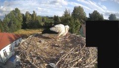 IMG_9413.jpeg