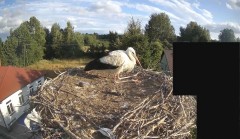 IMG_9414.jpeg