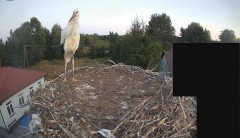 IMG_9499.jpeg