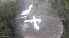 IMG_9563.jpeg