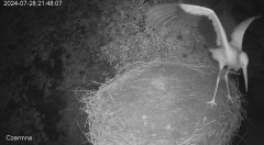 IMG_9574.jpeg