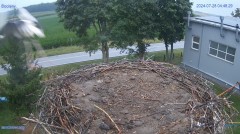 IMG_9098.jpeg