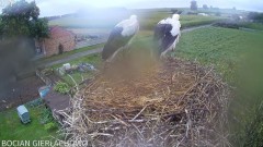 2024-07-28 21_41_12-Bocian Gierłachowo - YouTube – Maxthon.jpg
