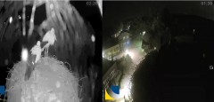 bandicam 2024-07-28 19-32-19-398.jpg