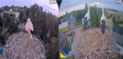 bandicam 2024-07-28 19-32-49-558.jpg