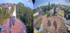 bandicam 2024-07-28 19-33-16-406.jpg