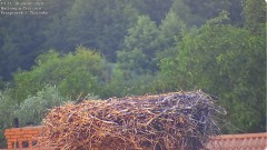 IMG_9608.jpeg