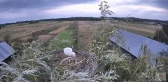 IMG_9477.jpeg