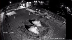 IMG_9625.jpeg