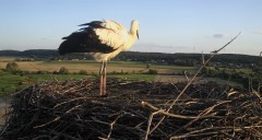 IMG_9469.jpeg