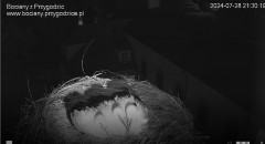 IMG_9557.jpeg