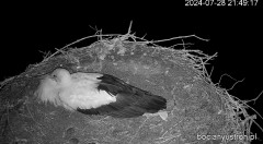 IMG_9634.jpeg