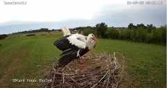 IMG_9027.jpeg