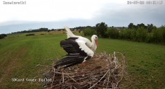IMG_9029.jpeg