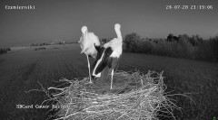 IMG_9638.jpeg